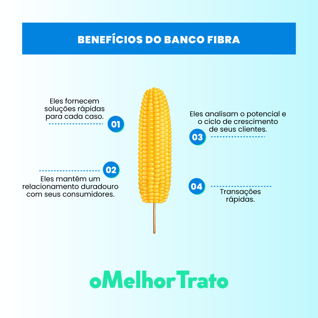 Conheça os Empréstimos e financiamentos do Banco Fibra